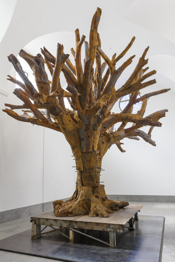 WEIWEI ALBERO